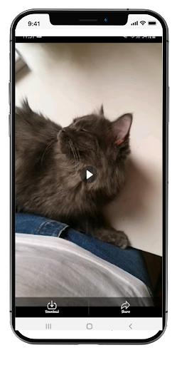 Video &Photo Status Downloader Screen 2