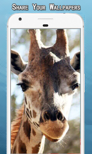 All Animals Wallpapers Hd Screen 2