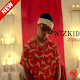 Wizkid Music MP3 2020 Without Internet Download on Windows