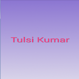 Tulsi Kumar icon