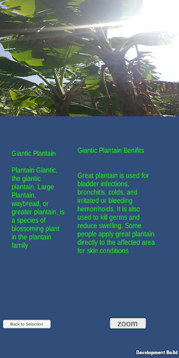 Android application Plantidentifier2 screenshort