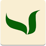 Balivas icon