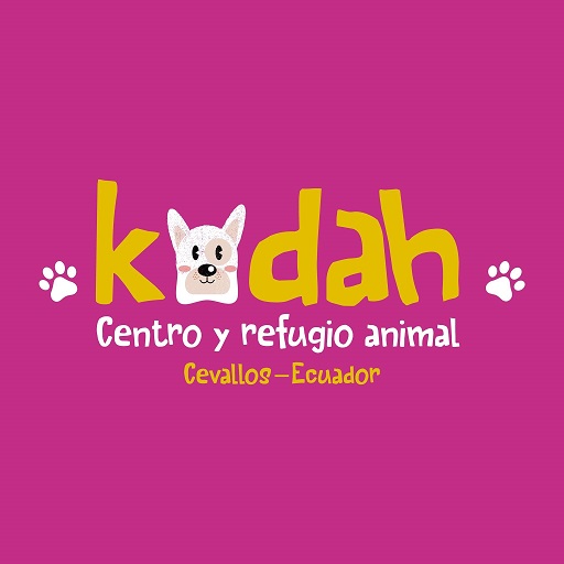 Kodah App logo