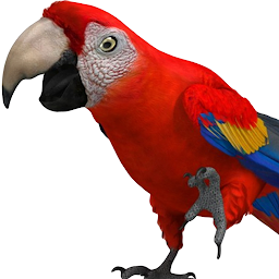 Talking Parrot 2: Download & Review