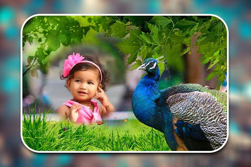 Peacock Photo Frames Screen 3