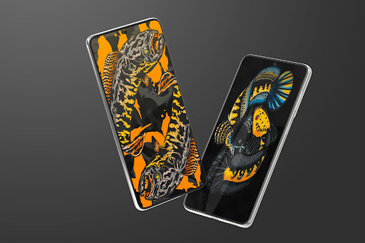 Channa Fish Wallpapers Screen 3