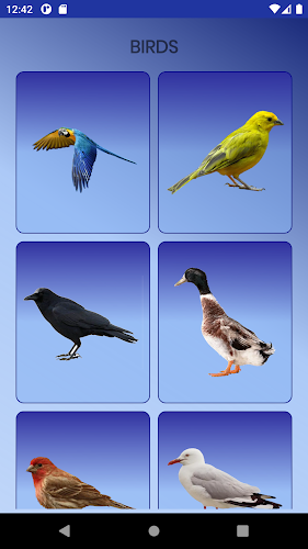 Animal Bird Sounds - Latest version for Android - Download APK
