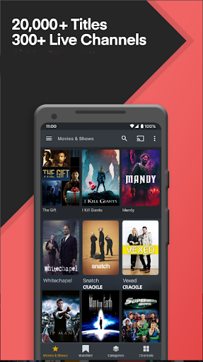 GetVid Screen 2