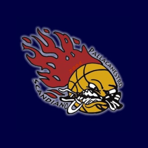 PALLACANESTRO SCANDIANO logo