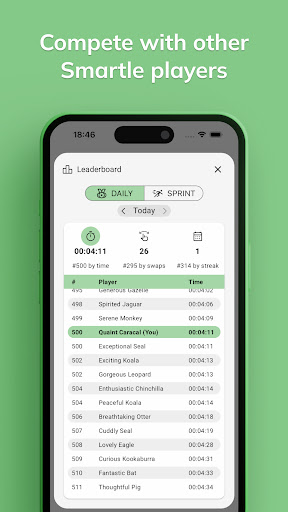 Smartle Screen 3