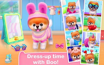 Boo - The World's Cutest Dog screenshot thumbnail