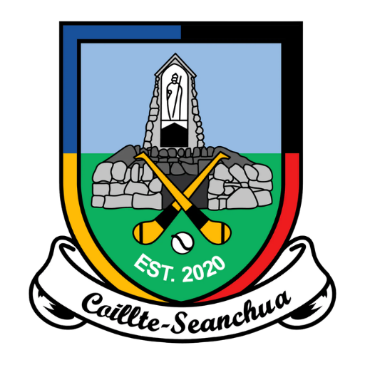 Colt-Shanahoe GAA