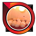 Cover Image of डाउनलोड how to make egg hatching machi  APK