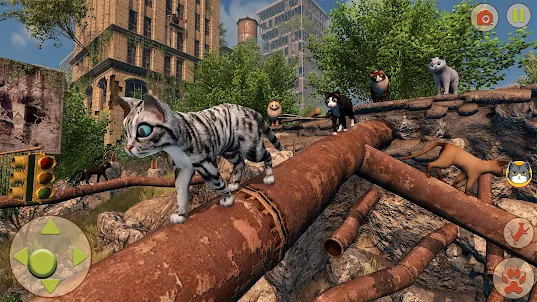 Cat Simulator : Stray Games