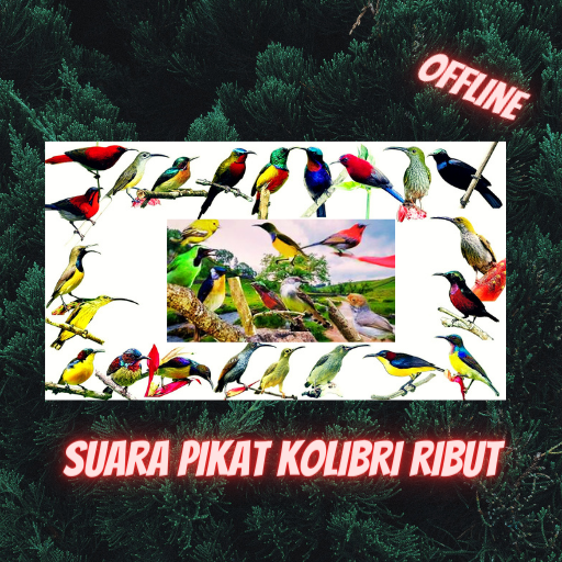 Suara Pikat Kolibri Ribut logo