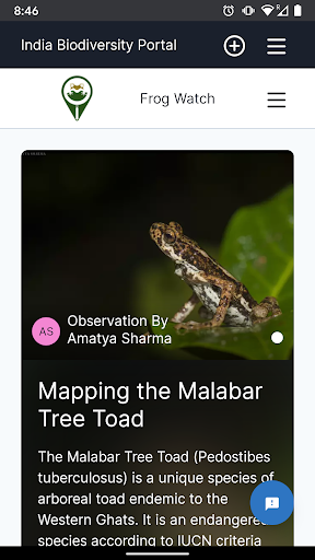 Android application Frog Watch screenshort