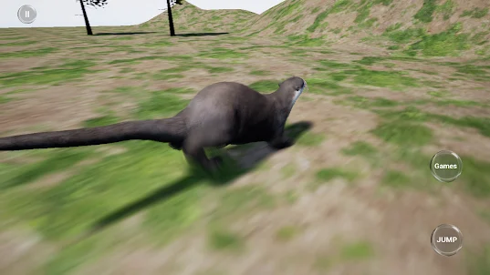 Otter Runner Simulator