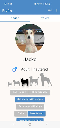 PawPal Screen 3