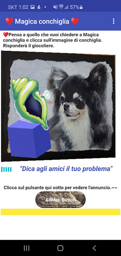 Magica conchiglia - perrito