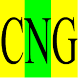 CNG Delhi icon