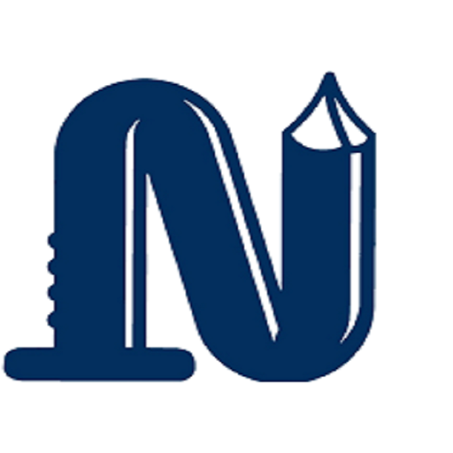 Naillz Egypt Market logo