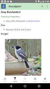 Australian Birds Guide