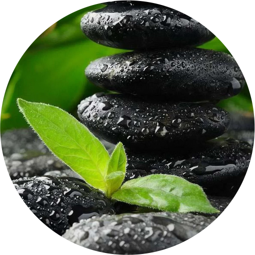 Bamboo Dark CM Theme