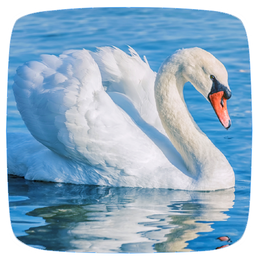 Download play android music audio games on pc ldplayer