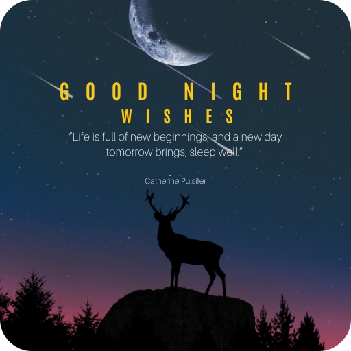 Good Night Wishes logo