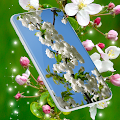 Download Cherry Blossom Live Wallpaper 6.9.70 Apk for android