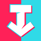 TT Video Downloader SSSTIK icon
