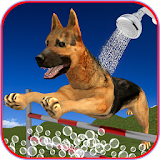 Dog Race & Stunts Wash Thru icon