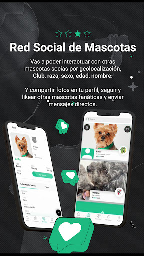 SportyFanPet Screen 3