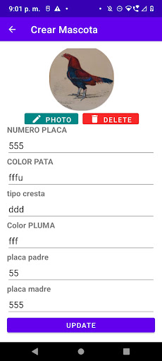 petpetro1 Screen 3