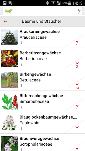 Bäume und Sträucher Screen 3