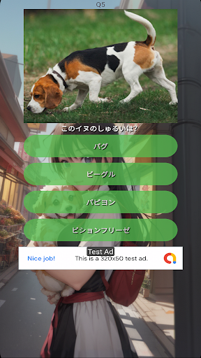 Android application クイズ_いぬ＆ねこのしゅるい screenshort