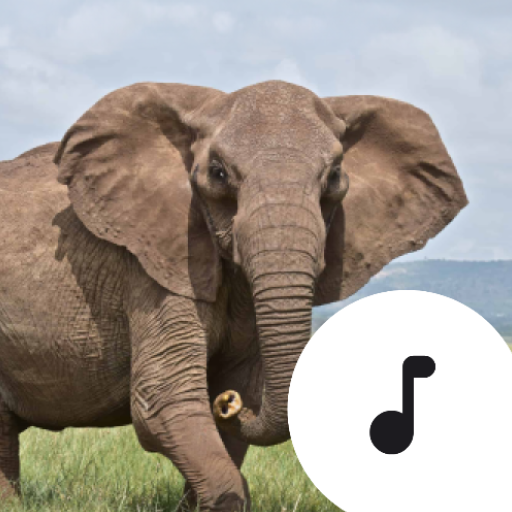 Elephant Sounds  Icon
