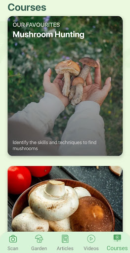 Mushroom Identifier by Picture Screen 2