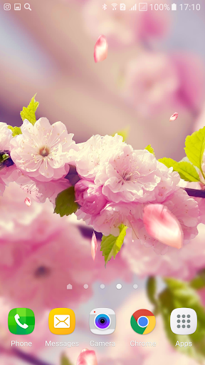 Flowers 3D live wallpaper Screen 2