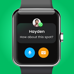 Watch Sync App - BT Notifier: Download & Review
