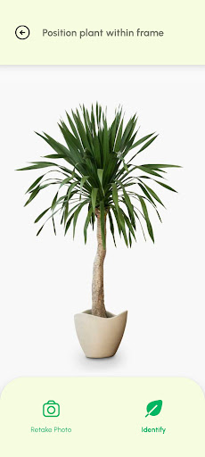 Screenshot of Plant Identifier App