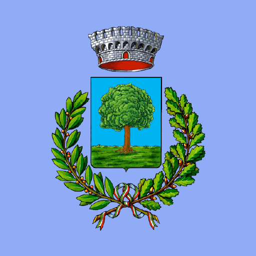 MyRoverchiara logo
