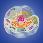 Cover Image of Download Cell biology  APK
