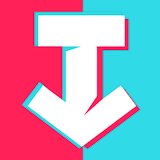 TT Video Downloader- SSSTik 2 icon