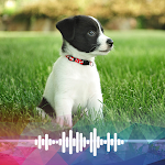Cover Image of Download Dog sounds Ringtones  APK