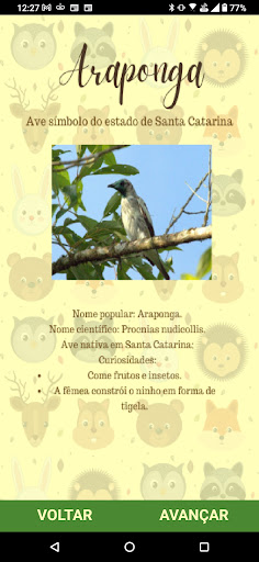 Flora & Fauna - Santa Catarina Screen 3