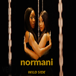 Cover Image of ダウンロード Normani - Wild Side 1 APK