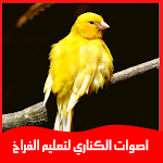Cover Image of Download اصوات الكناري لتعليم الفراخ  APK