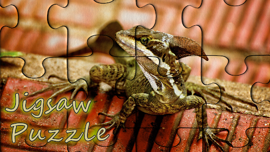 Pzls - free classic jigsaw puz Unknown
