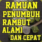 Cover Image of Descargar Penumbuh Rambut Alami Cepat Da  APK